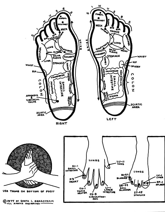 foot reflexology chart