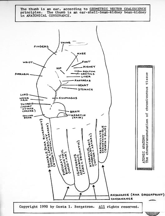 thumb ear body chart