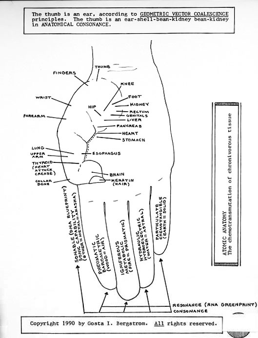 thumb ear body chart